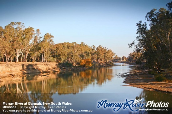 Murray River at Barmah, New South Wales