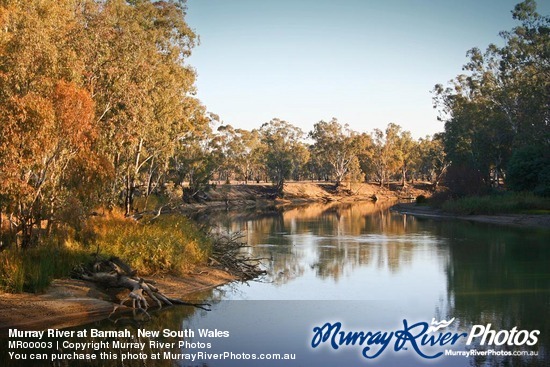 Murray River at Barmah, New South Wales