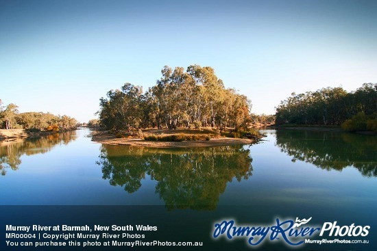 Murray River at Barmah, New South Wales