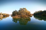 Murray River at Barmah, New South Wales