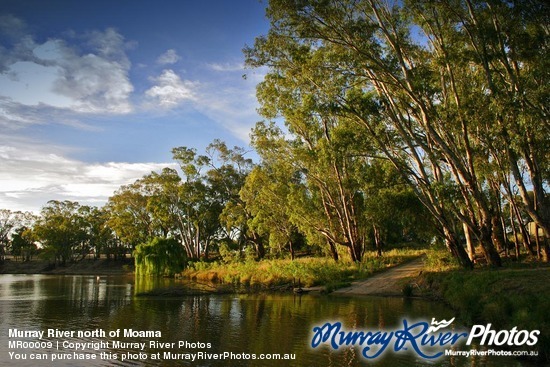 Murray River north of Moama