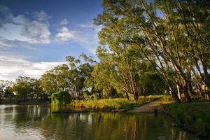 Murray River north of Moama