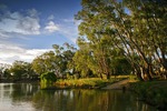 Murray River north of Moama