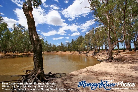 Near Cape Horn Winery, Echuca, Victoria