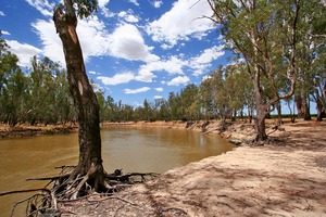 Near Cape Horn Winery, Echuca, Victoria