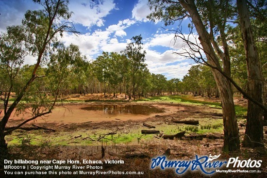 Dry billabong near Cape Horn, Echuca, Victoria