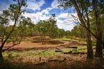 Dry billabong near Cape Horn, Echuca, Victoria