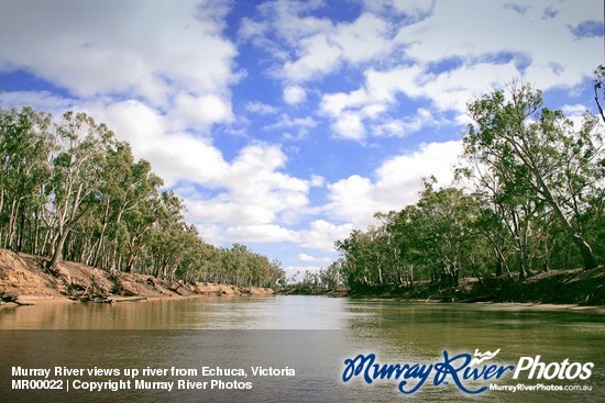 Murray River views up river from Echuca, Victoria