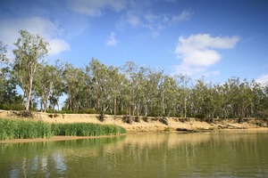 Murray River views up river from Echuca, Victoria