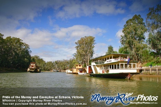 Pride of the Murray and Emmylou at Echuca, Victoria