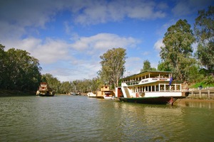Pride of the Murray and Emmylou at Echuca, Victoria