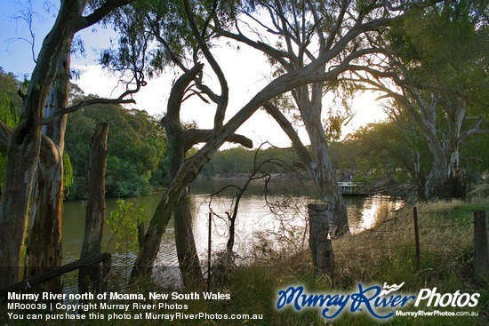 Murray River north of Moama, New South Wales