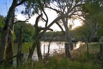 Murray River north of Moama, New South Wales