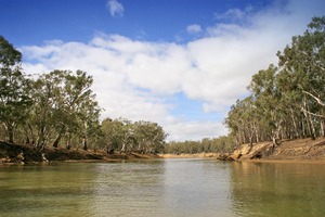 Murray River views up river from Echuca, Victoria