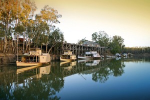 Historic Echuca Wharf, PS Adelaide; PS Alexander Arbuthnot and PS Pevensy on sunrise, Echuca, Victoria