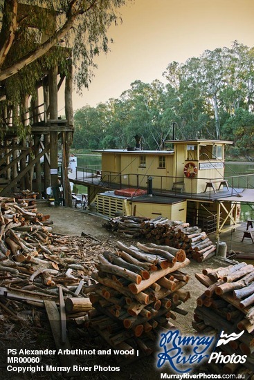 PS Alexander Arbuthnot and wood piles at Echuca Wharf, Echuca, Victoria