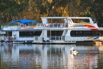 Pelican cruising on sunrise at Mildura in front of All Seasons Houseboats, Victoria
