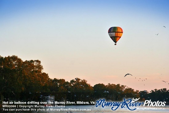 Hot air balloon drifting over the Murray River, Mildura, Victoria