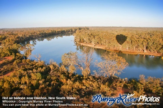 Hot air balloon near Dareton, New South Wales