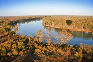 Hot air balloon near Dareton, New South Wales