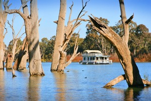 Houseboat cruising near Gol Gol, New South Wales