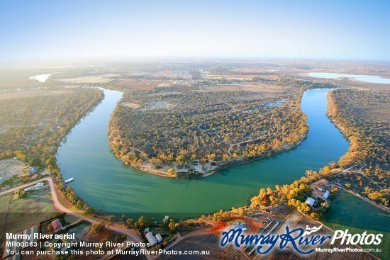 Murray River aerial