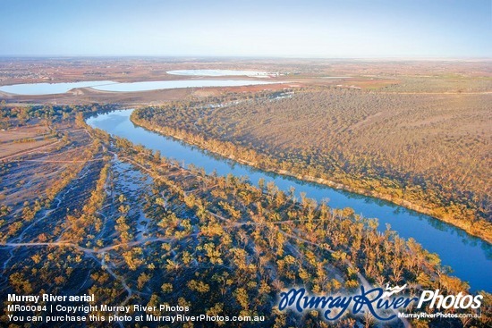 Murray River aerial