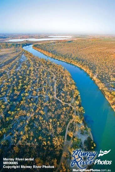 Murray River aerial