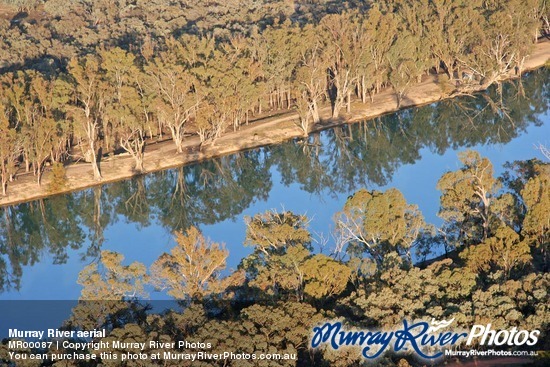 Murray River aerial