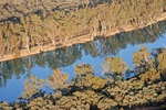 Murray River aerial