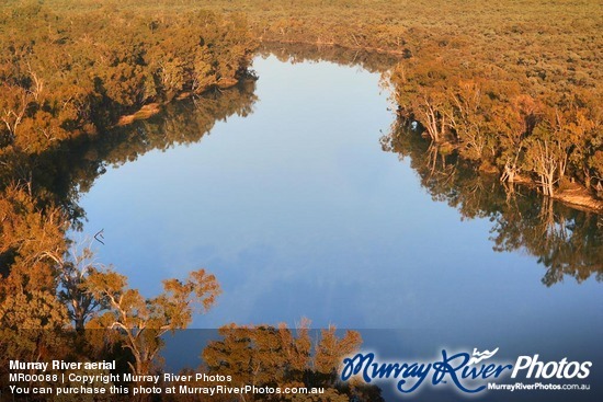 Murray River aerial