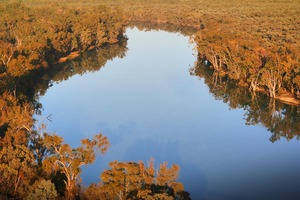 Murray River aerial