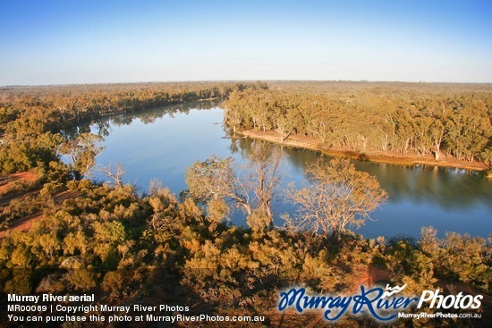 Murray River aerial