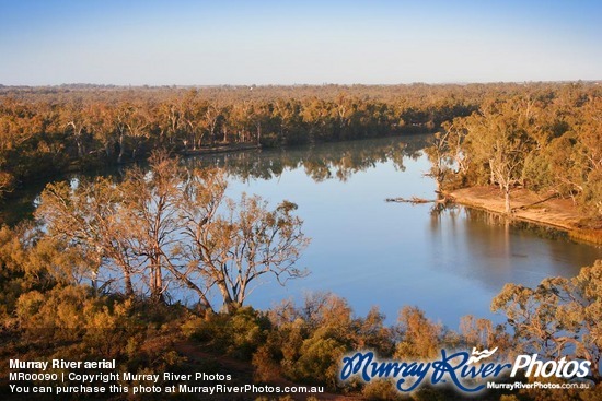 Murray River aerial