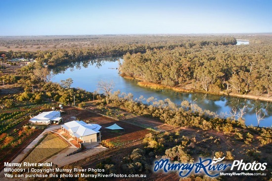 Murray River aerial