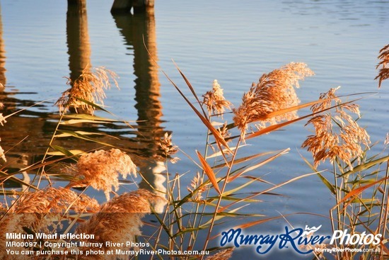 Mildura Wharf reflection