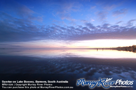 Sunrise on Lake Bonney, Barmera, South Australia