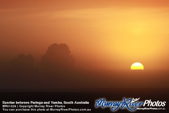 Sunrise between Paringa and Yamba, South Australia