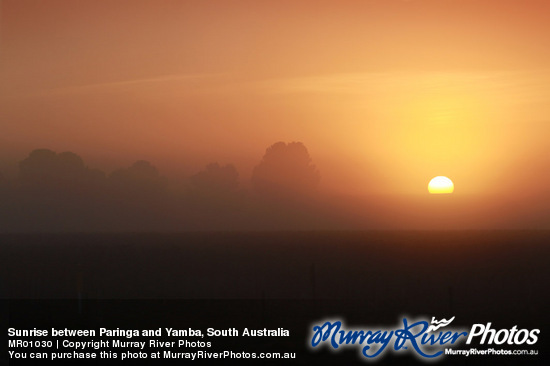 Sunrise between Paringa and Yamba, South Australia