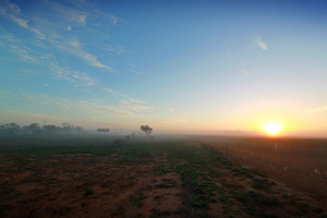 Sunrise between Paringa and Yamba, South Australia