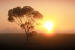 Sunrise between Paringa and Yamba, South Australia