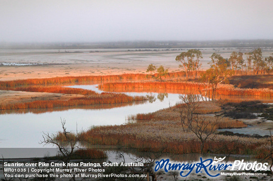 Sunrise over Pike Creek near Paringa, South Australia