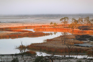 Sunrise over Pike Creek near Paringa, South Australia