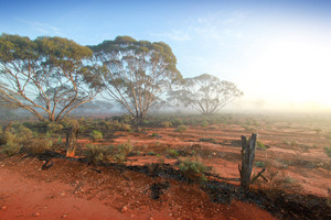 Murray-Sunset National Park, Victoria