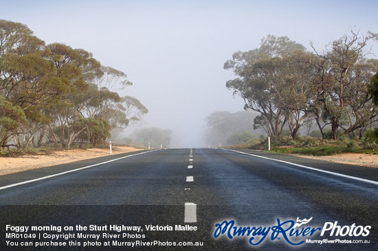 Foggy morning on the Sturt Highway, Victoria Mallee