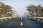 Foggy morning on the Sturt Highway, Victoria Mallee