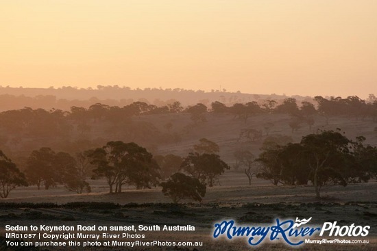 Sedan to Keyneton Road on sunset, South Australia