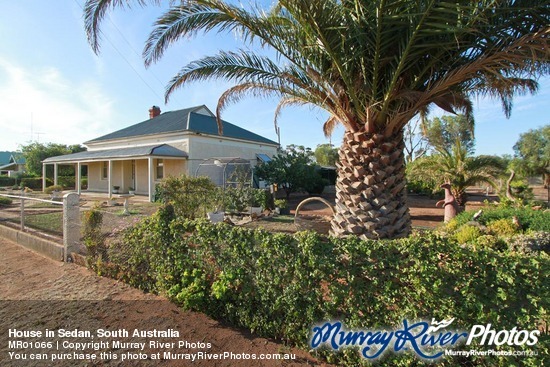 House in Sedan, South Australia