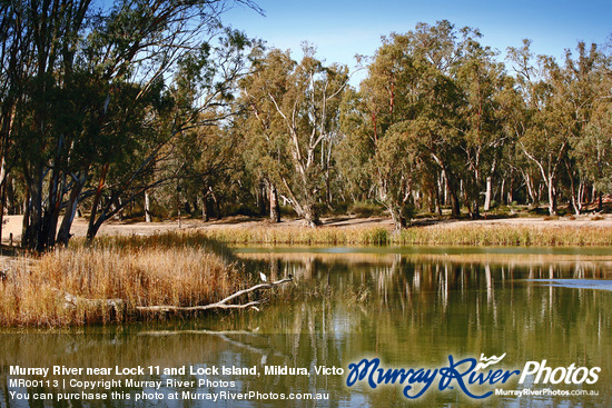 Murray River near Lock 11 and Lock Island, Mildura, Victoria