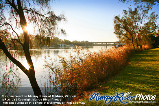 Sunrise over the Murray River at Mildura, Victoria